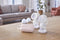 Philips Avent SCF397/11 - Dubbele Elektrische Borstkolf - Natural Motion-technologie - Roze Wit