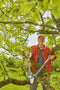 GARDENA Takkenschaar TeleCut Pro L - Telescopisch - 50 mm snoeidiameter - Ergonomisch ontwerp