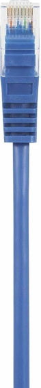 Renkforce RF-5043862 RJ45 Netwerkkabel, patchkabel CAT 5e U/UTP 0.50 m Blauw Snagless, Halogeenvrij 1 stuk(s)