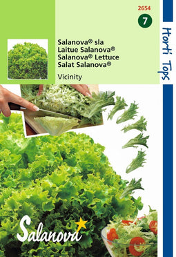 2 stuks - Hortitops - Salanova Virtuose Rz Groen wordt Vivanto RZ