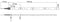 Barthelme Basic 51540428 51540428 LED-strip Met open kabeleinde 12 V 5 m Warmwit 1 stuk(s)