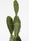 Mica Decorations Cactus Kunstplant in Bloempot - H50 x Ø25 cm - Groen