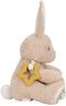 Little Dutch - Newborn Naturals - Activiteitenknuffel Konijntje - Bruin