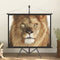 vidaXL - Projectiescherm - met - statief - 16:9 - 84''