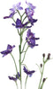 PTMD Delphinium Flower Kunsttak - 34 x 10 x 70 cm - Paars