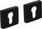 Intersteel Rozet profielcilindergat 50x50x10 mm aluminium zwart