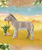 PLAYMOBIL Wiltopia - Afrikaanse wilde ezel - 71289
