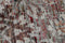 Sari Silk TX-3422 Vloerkleed - 170x240 - Rechthoek - Laagpolig,Oosters,Vintage Tapijt - Modern - Meerkleurig