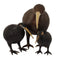 Pole to Pole - Kiwi Bird S