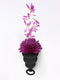 Gvibe Gcup Mystic Noir