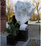 Nature - Winterafdekvlies voor planten - 4 x 6m - 30 g/m² - winterbescherming