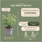 Plants by Frank | 1 strekkende meter gele Kardinaalsmuts heg | 6x Euonymus fortunei 'Emerald Gold' Ø12 cm - 20 cm | winterharde haagplanten | Wintergroene haag | Tuinplanten | Planten