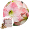 Plant in a Box - Amaryllis - Hippeastrum 'Gift box' - Bloembol - Roze bloemen