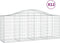 vidaXL - Schanskorven - 12 - st - gewelfd - 200x50x80/100 - cm - ijzer