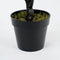 Mica Decorations Ficus Lyrata - Kunstplant - H150 x Ø80 cm - Groen