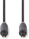 Nedis CABW25000AT30 - Optische digitale kabel S/PDIF - 300 cm - Grijs