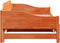 vidaXL - Slaapbank - onderschuifbed - zonder - matras - 90x190 - cm - hout - wasbruin