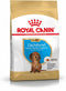 Royal Canin Dachshund/Teckel Junior 1.5 KG