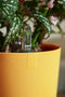 Elho Jazz Rond 23 Bloempot - 100% Gerecycled Plastic - Ø 23.1 x H 21.5 cm - Amber geel
