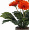 Mica Decorations Gerbera Kunstplant in Bloempot Stan - H35 x Ø30 cm - Oranje
