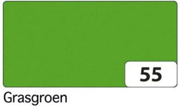 FOTOKARTON FOLIA 2ZIJDIG 50X70CM 300GR NR55 GRASGN