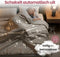 STAUS&BACH PowerNap - Elektrische deken 3XL - Dubbelzijdig Fleece Sherpa - Beige 180x160 cm