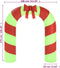 vidaXL - Kerstboog - opblaasbaar - met - LED's - 270 - cm