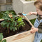Esschert Design - Verhoogde Moestuinbak - 65 L - Bruin
