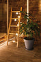 Paulmann - Lichtketting Accu Lampion - 7 lichtpunten 3,6m 3000K Wit