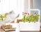 Chili Pepper Refill voor Smart Herb Garden (3-pack)