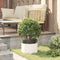 vidaXL - Tuinbak - Wit - 30x30x20 - cm - Staal