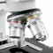 Bresser Microscoop Bino Researcher 40x-1000x