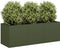 vidaXL - Plantenbak - 120x40x40 - cm - koudgewalst - staal - olijfgroen