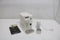 DeLonghi EN510.W - Koffiemachine - Cappuccino en Espresso - Wit