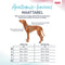 Company of Animals - Anatomy Halti - Honden Harnas - Grijs - Maat L - Nekomvang: 42-65 cm - Borstomvang: 60-85 cm