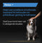 PURINA® PRO PLAN® Relax - Supplement Olie Hond - Omega-3 - 250 ml