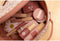 Little Dutch - Make-Up Tas - 10 houten speelgoedproducten - Roze