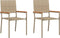 vidaXL - Stapelbare - Tuinstoelen - 2 - stuks - Beige - Poly - Riet