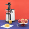 H.Koenig Slowjuicer