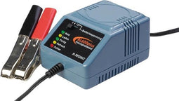 H-Tronic Profieldraad, AL600 pluspunt van 06/02/12 V loodbatterijen