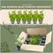 Plants by Frank | 1 strekkende meter haagbeuk | 6x Carpinus Betulus Ø12 cm - 20 cm | winterharde haagplanten | Bladverliezende haag | Tuinplanten | Planten
