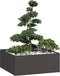 vidaXL - Plantenbak - 100x100x40 - cm - staal - zwart