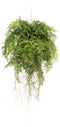 Emerald Kunstvaren hangend met wortels 55 cm