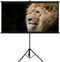 vidaXL - Projectiescherm - met - statief - 16:9 - 120''