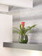Ter Steege Bloempot Groen D 23 cm H 20 cm Opening 17.5 cm