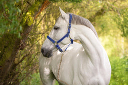 Kerbl Mustang - Halster - Verstelbare neus- en hoofdriem - Blauw/Zwart