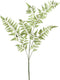 PTMD Fern Plant Varen Kunsttak - 62 x 42 x 154 cm - Groen