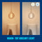WiZ PS160 - Slimme LED Filamentlamp - Instelbaar wit licht - Amber