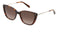 FOSSIL FOS2101/G/S - Zonnebril - Bruin frame - Bruine lenzen