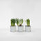 Plant in a Box - Tulbaghia violacea 'Knobikraut' - wilde knoflook - Paarse bloemen - set van 6 - Potmaat 9 cm - Hoogte 15-25 cm